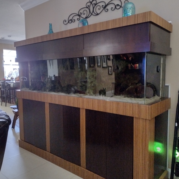 Fishtank/Aquarium - Picture 5 of 6